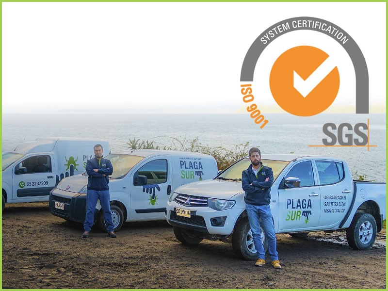 PLAGASUR ahora es ISO 9001:2015 - PLAGASUR® | Control de Plagas en Puerto Montt - Puerto Varas - Osorno - Castro
