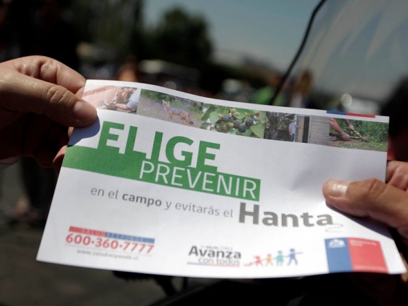 VIRUS HANTA EN PALENA - PLAGASUR® | Control de Plagas en Puerto Montt - Puerto Varas - Osorno - Castro