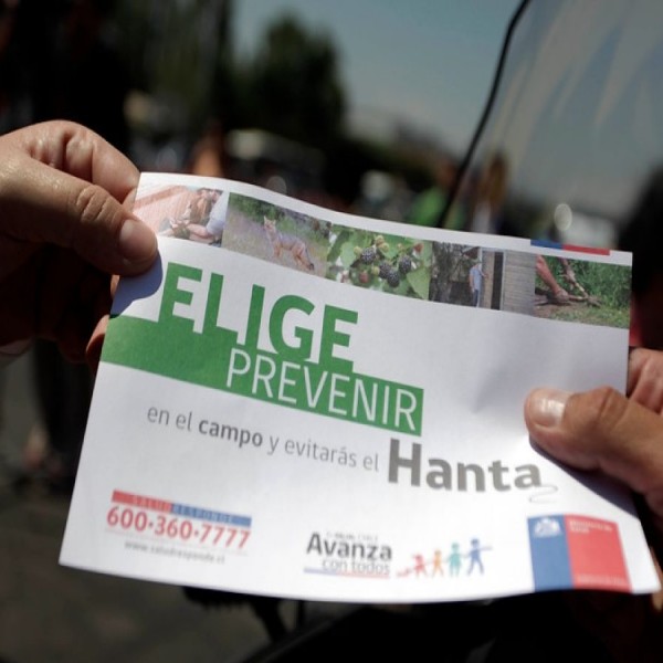 VIRUS HANTA EN PALENA - PLAGASUR® | Control de Plagas en Puerto Montt - Puerto Varas - Osorno - Castro