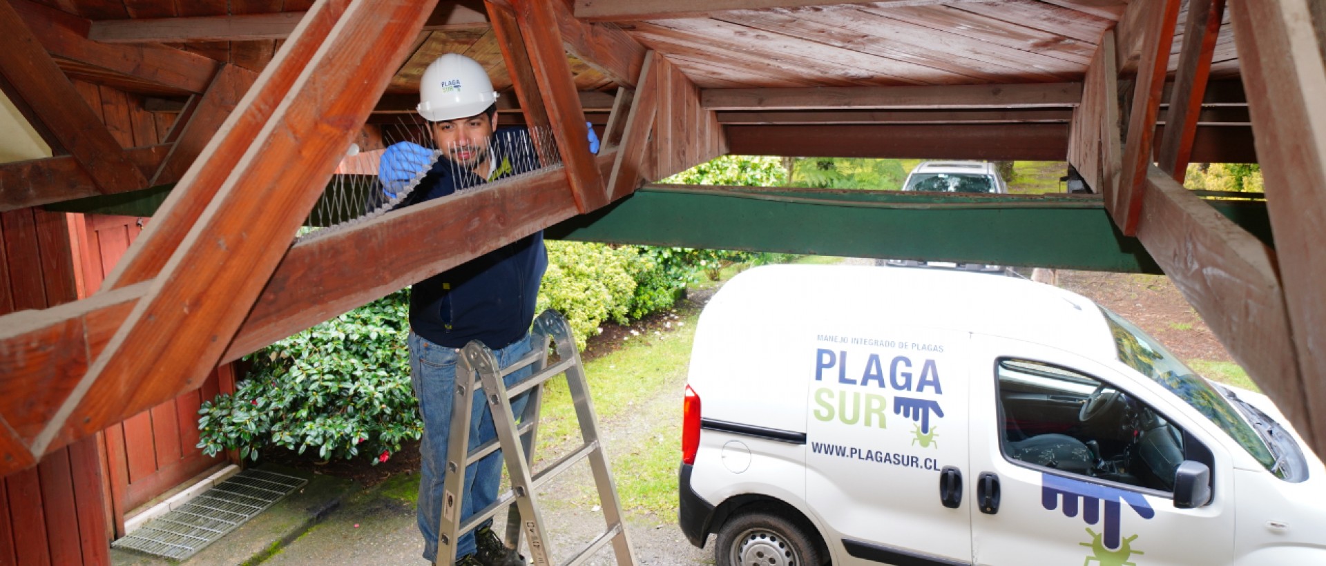 PLAGASUR® | Control de Plagas en Puerto Montt - Puerto Varas - Osorno - Castro | Control de palomas y murciélagos