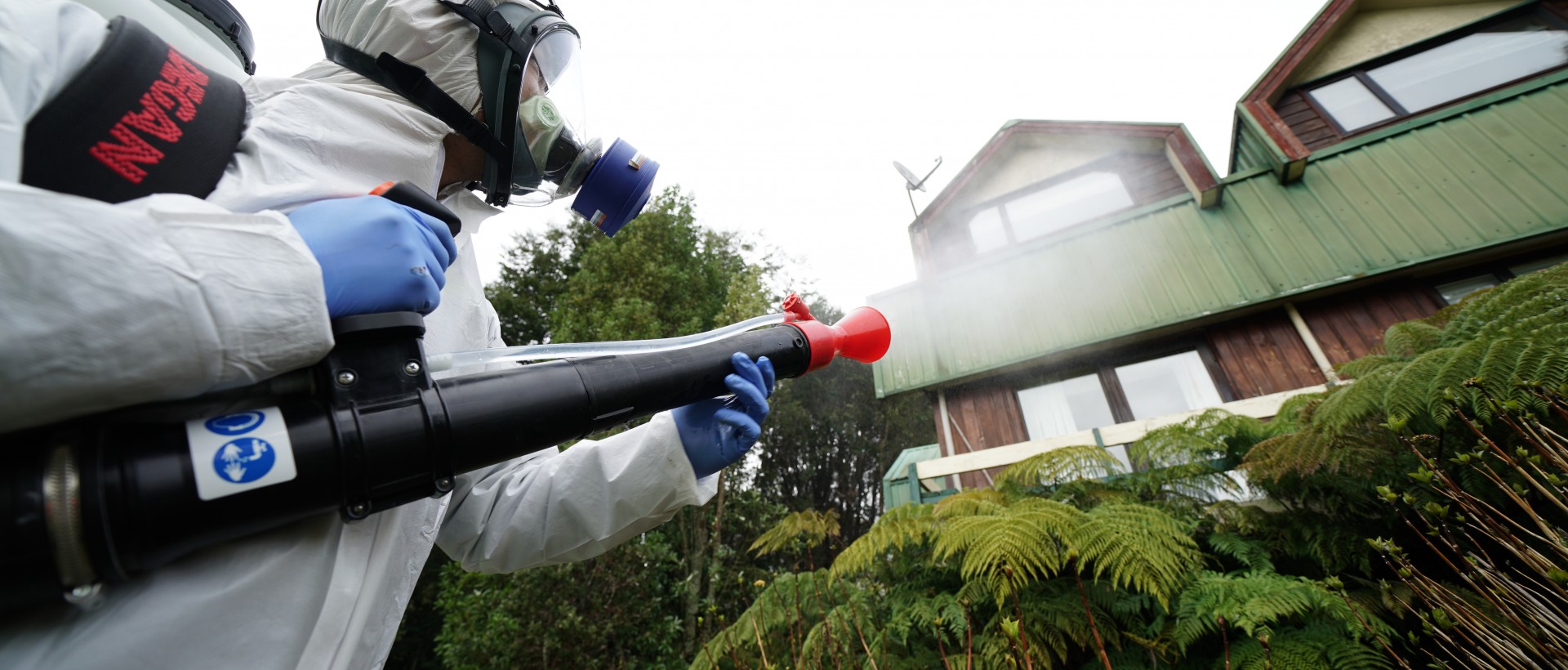 PLAGASUR® | Control de Plagas en Puerto Montt - Puerto Varas - Osorno - Castro | Desinsectación