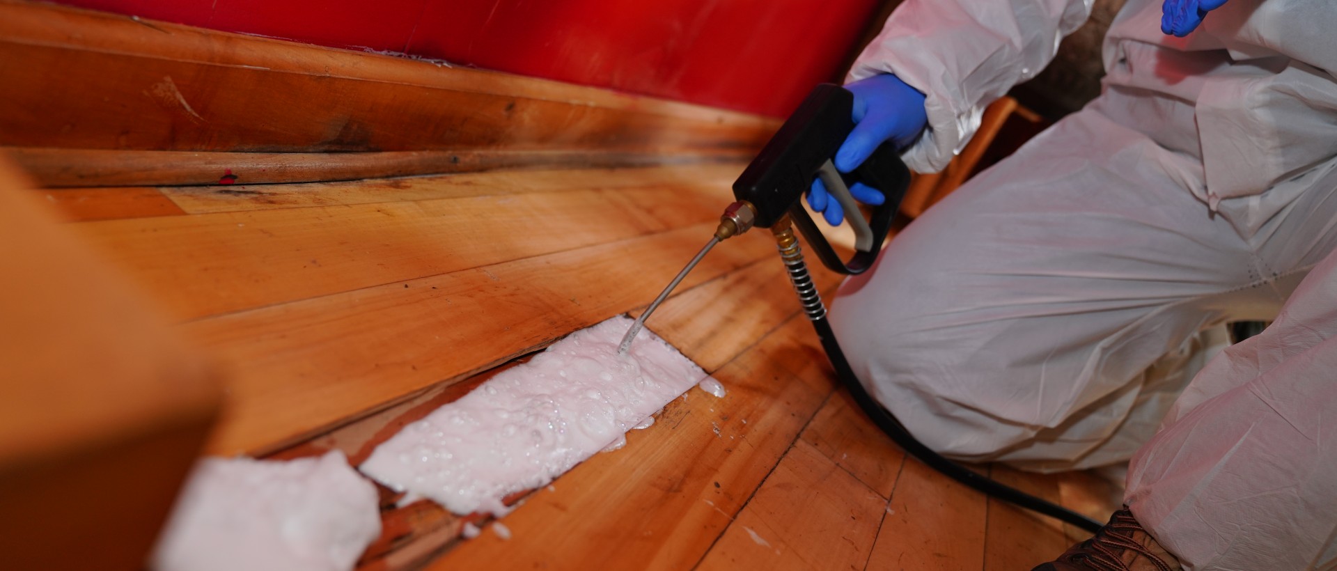 PLAGASUR® | Control de Plagas en Puerto Montt - Puerto Varas - Osorno - Castro | Desinsectación