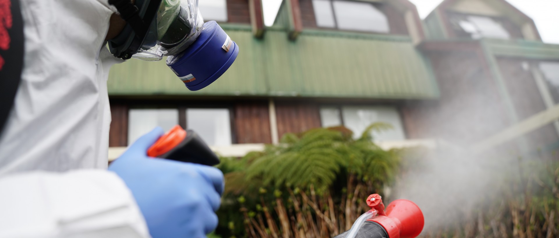 PLAGASUR® | Control de Plagas en Puerto Montt - Puerto Varas - Osorno - Castro | Desinsectación