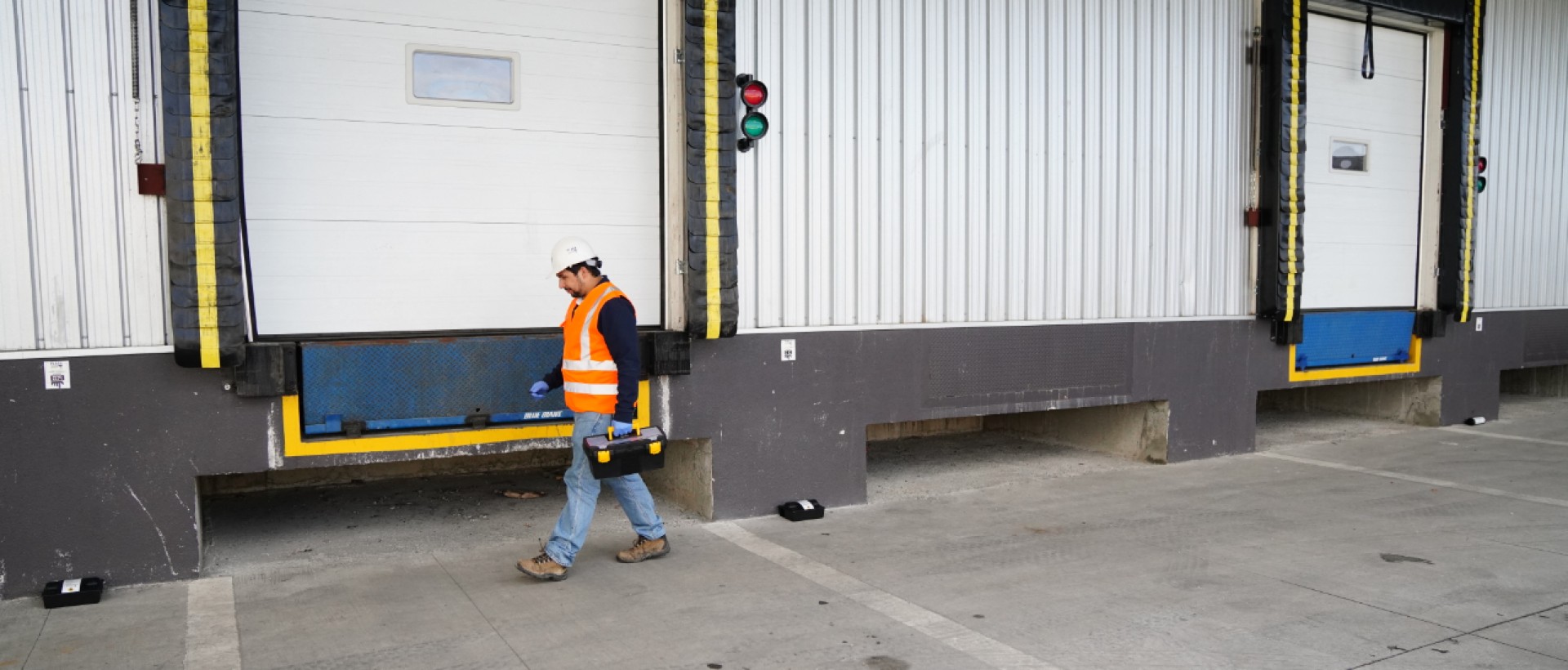 PLAGASUR® | Control de Plagas en Puerto Montt - Puerto Varas - Osorno - Castro | Desratización