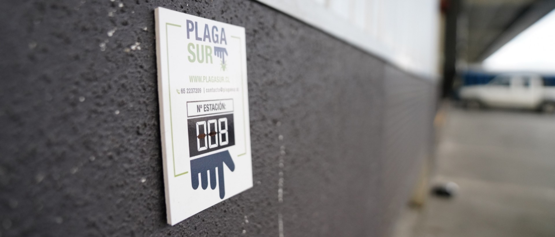 PLAGASUR® | Control de Plagas en Puerto Montt - Puerto Varas - Osorno - Castro | Desratización