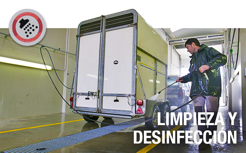 Limpieza y desinfección - PLAGASUR® | Control de Plagas en Puerto Montt - Puerto Varas - Osorno - Castro