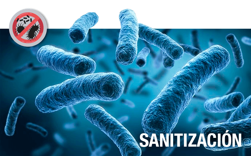 Sanitización - PLAGASUR® | Control de Plagas en Puerto Montt - Puerto Varas - Osorno - Castro