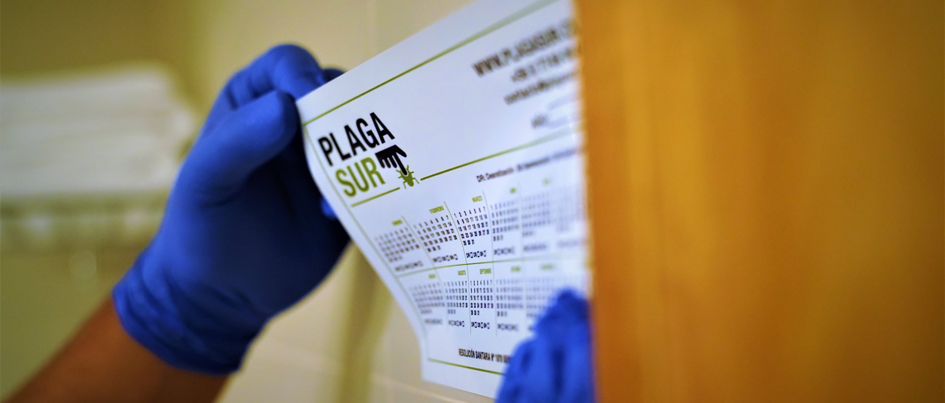  - PLAGASUR® | Control de Plagas en Puerto Montt - Puerto Varas - Osorno - Castro