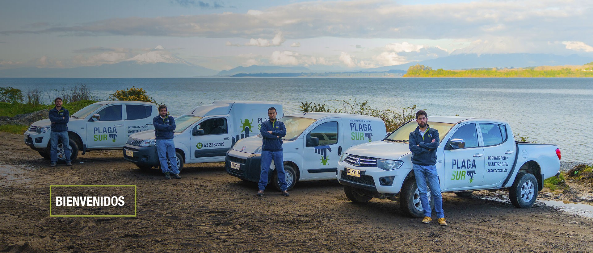  - PLAGASUR® | Control de Plagas en Puerto Montt - Puerto Varas - Osorno - Castro