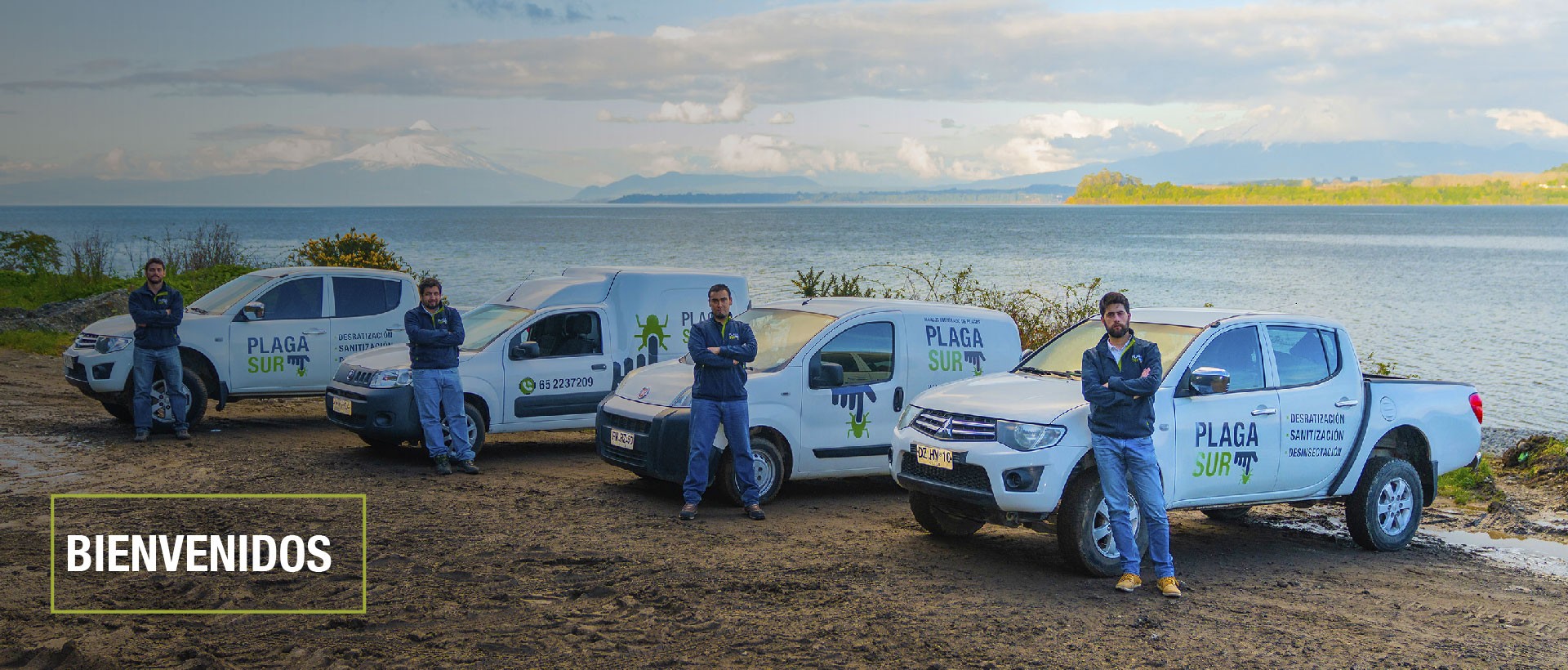  - PLAGASUR® | Control de Plagas en Puerto Montt - Puerto Varas - Osorno - Castro