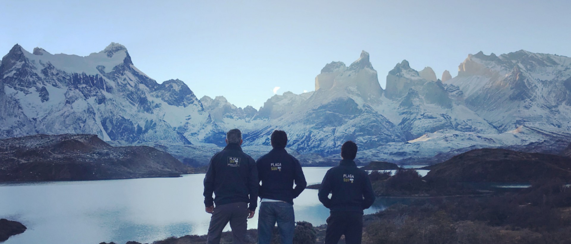 Somos - PLAGASUR® | Control de Plagas en Puerto Montt - Puerto Varas - Osorno - Castro